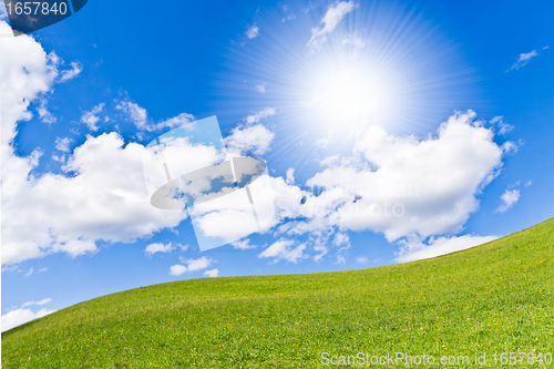 Image of green field