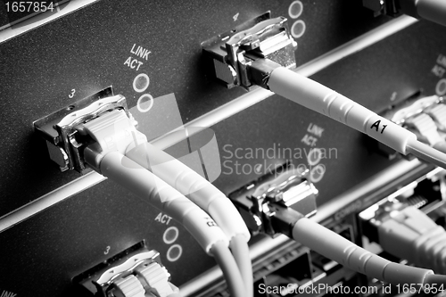 Image of network cables