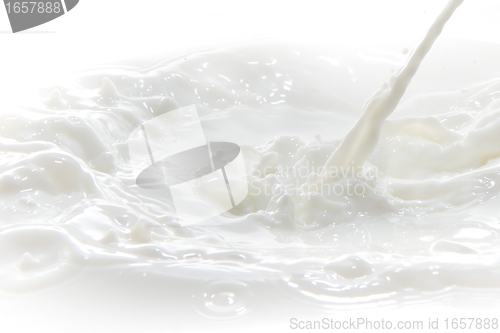 Image of milk splash