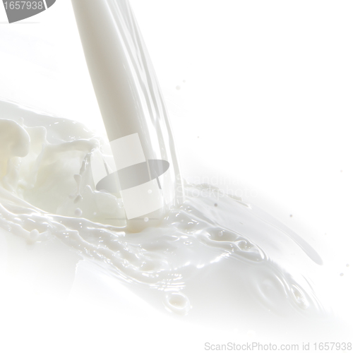 Image of milk splash