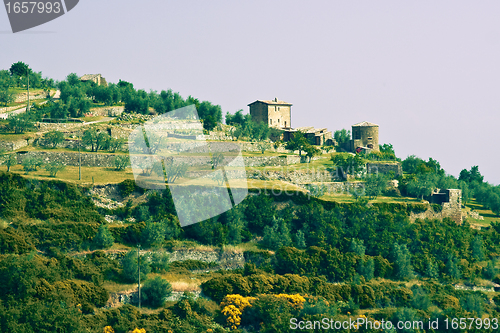 Image of Typical Tuscan landscape