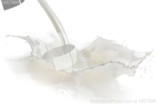 Image of milk splash