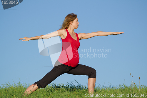 Image of pregnant woman on meadow