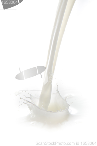 Image of milk splash