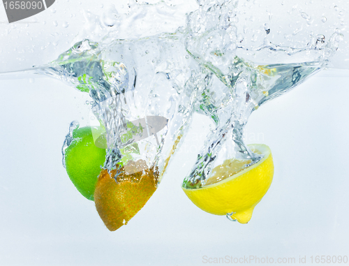 Image of citrus fruit splashing
