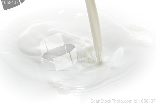 Image of milk splash