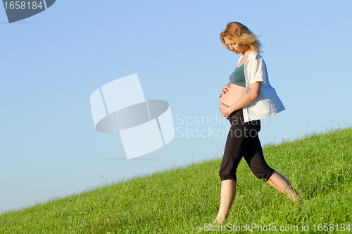 Image of pregnant woman on meadow