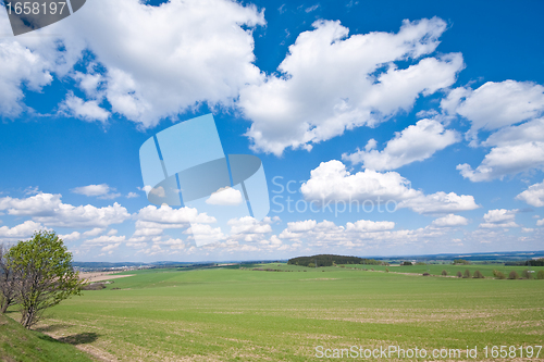 Image of green field