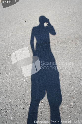 Image of Shadow