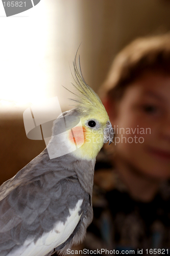 Image of Grizzly Bird