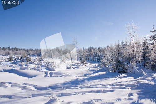 Image of fresh snow in the mountains