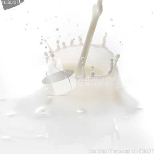 Image of milk splash