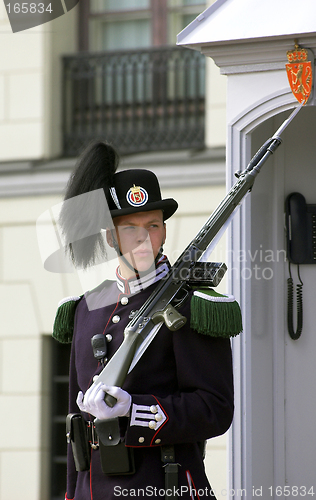 Image of Royal Norwegian guard