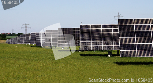 Image of solar plants in the rows