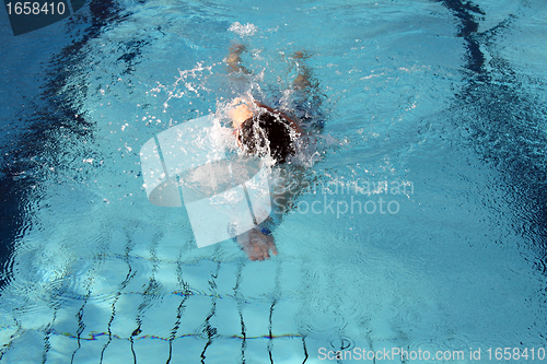 Image of active live with swimming