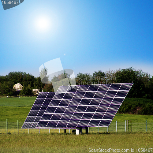 Image of solar plants in the field