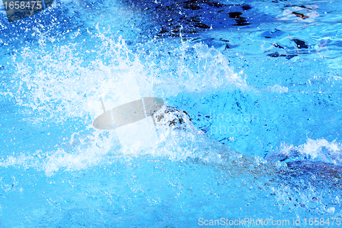 Image of jump into the water