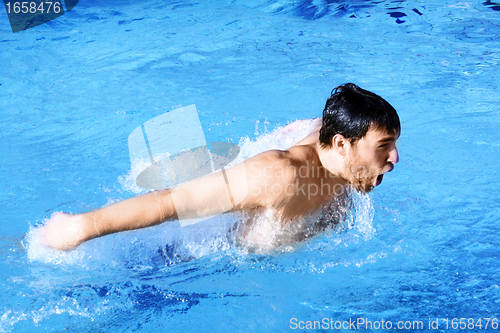 Image of butterfly swimmer in pool