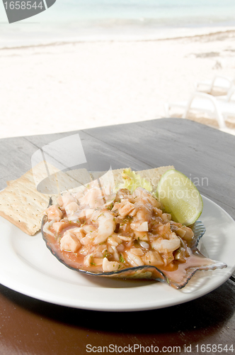 Image of mixed seafood shrimp conch cocktail San Luis San Andres Colombia