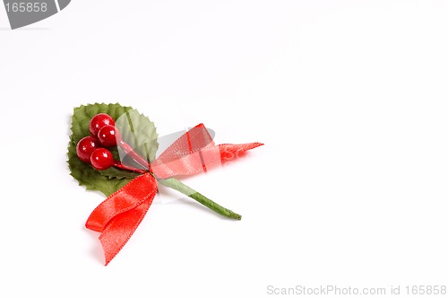 Image of Christmas berry