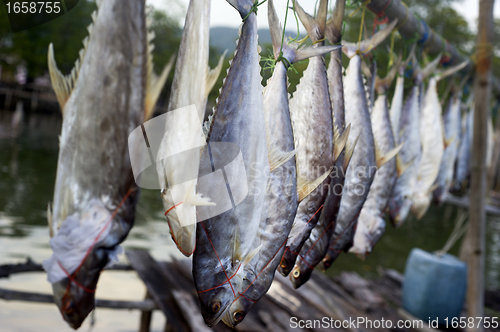 Image of Drying fish