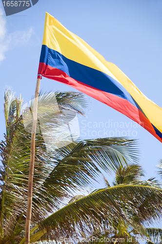 Image of flag of Colombia blowing in breeze palm coconut trees