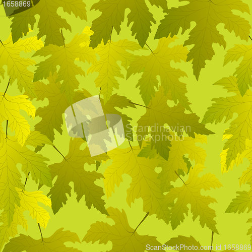 Image of Grape leaves seamless pattern