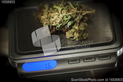 Image of Weed on a marijuana scale