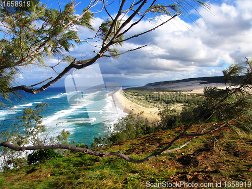 Image of Sandy Shoreline of Fraser Island, Australia