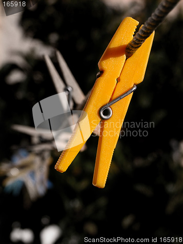 Image of Clothespin