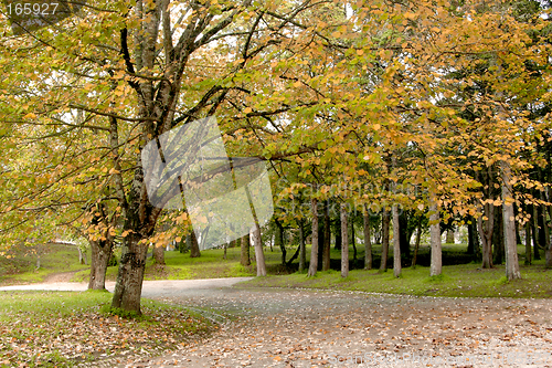 Image of Autumn