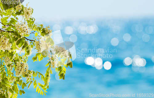 Image of abstract spring or summer backgrounds with beautiful bokeh