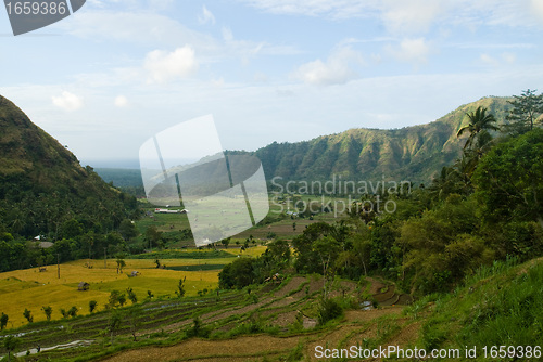 Image of Bali Landscape