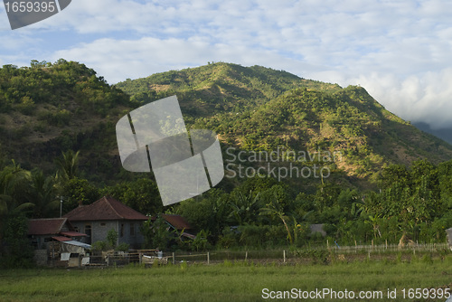 Image of Bali Fields