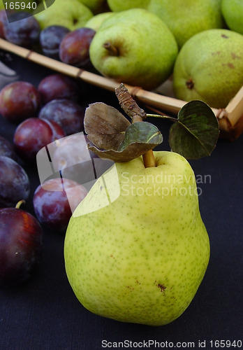 Image of Green pears and italian plums