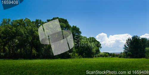 Image of Green field