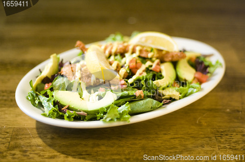 Image of Avocado chicken salad