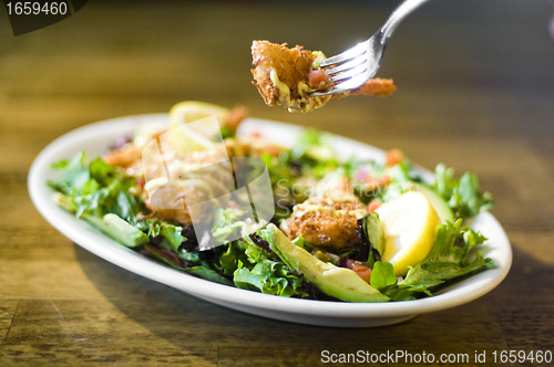 Image of Avocado chicken salad