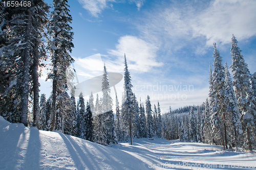 Image of Sun Peaks