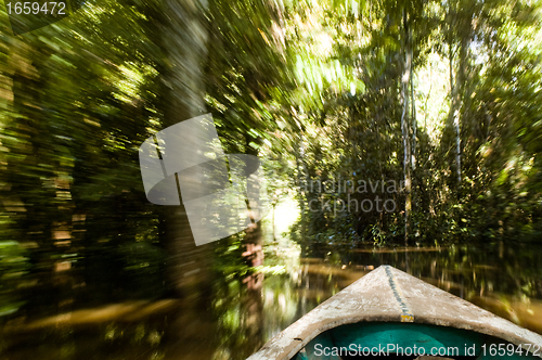 Image of Canoe in Amazon Rainforest