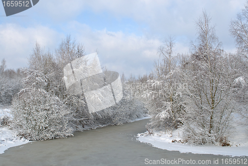 Image of Winter landscape