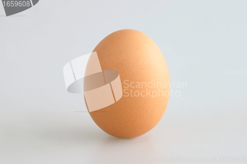Image of Single Egg