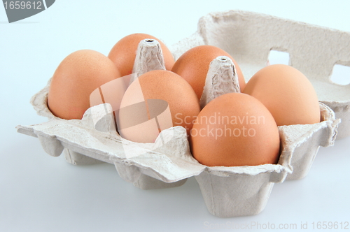 Image of Eggs