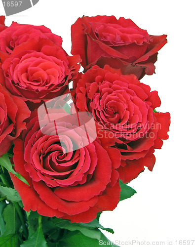 Image of Rose Bouquet