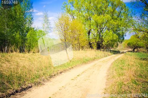 Image of rural road among a green forest