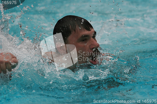 Image of Man swimming