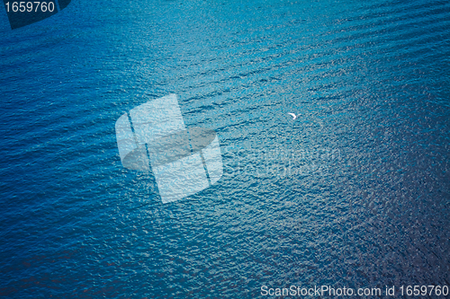 Image of white seagull flying over deep blue waves