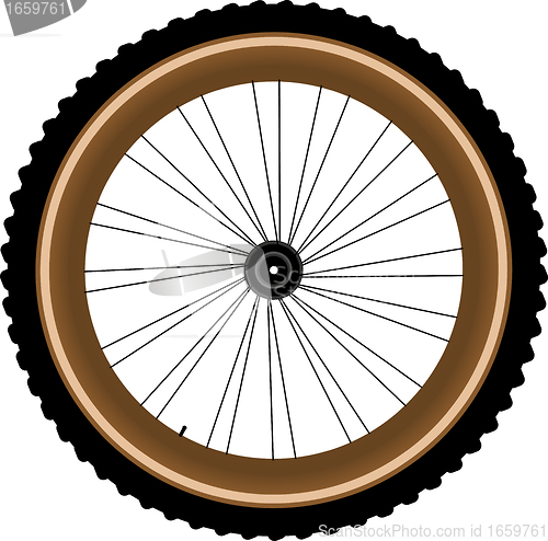 Image of Front wheel of a mountain bike isolated on white