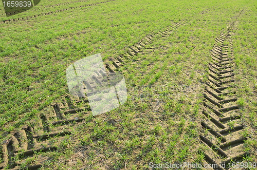 Image of background fields spring tractor wheel marks 