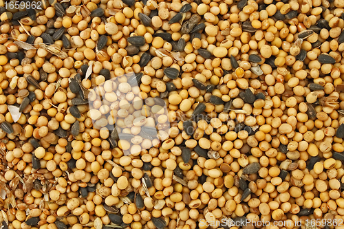 Image of Feedstuff for farm animals